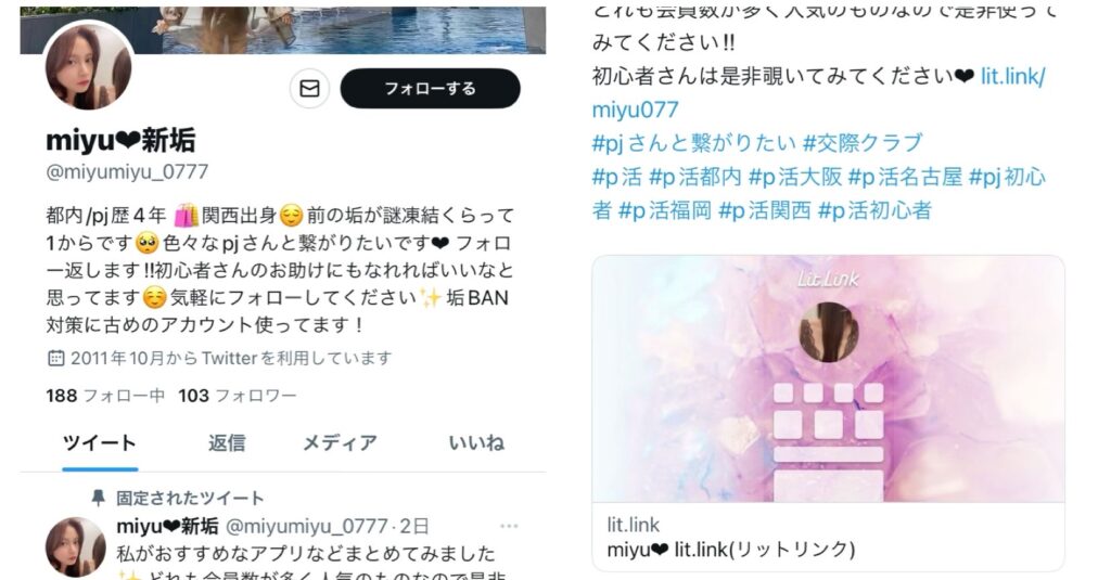 パパ活 やり方 稼ぎ方 偽物 SNS